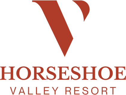 Horseshoe Valley Resort